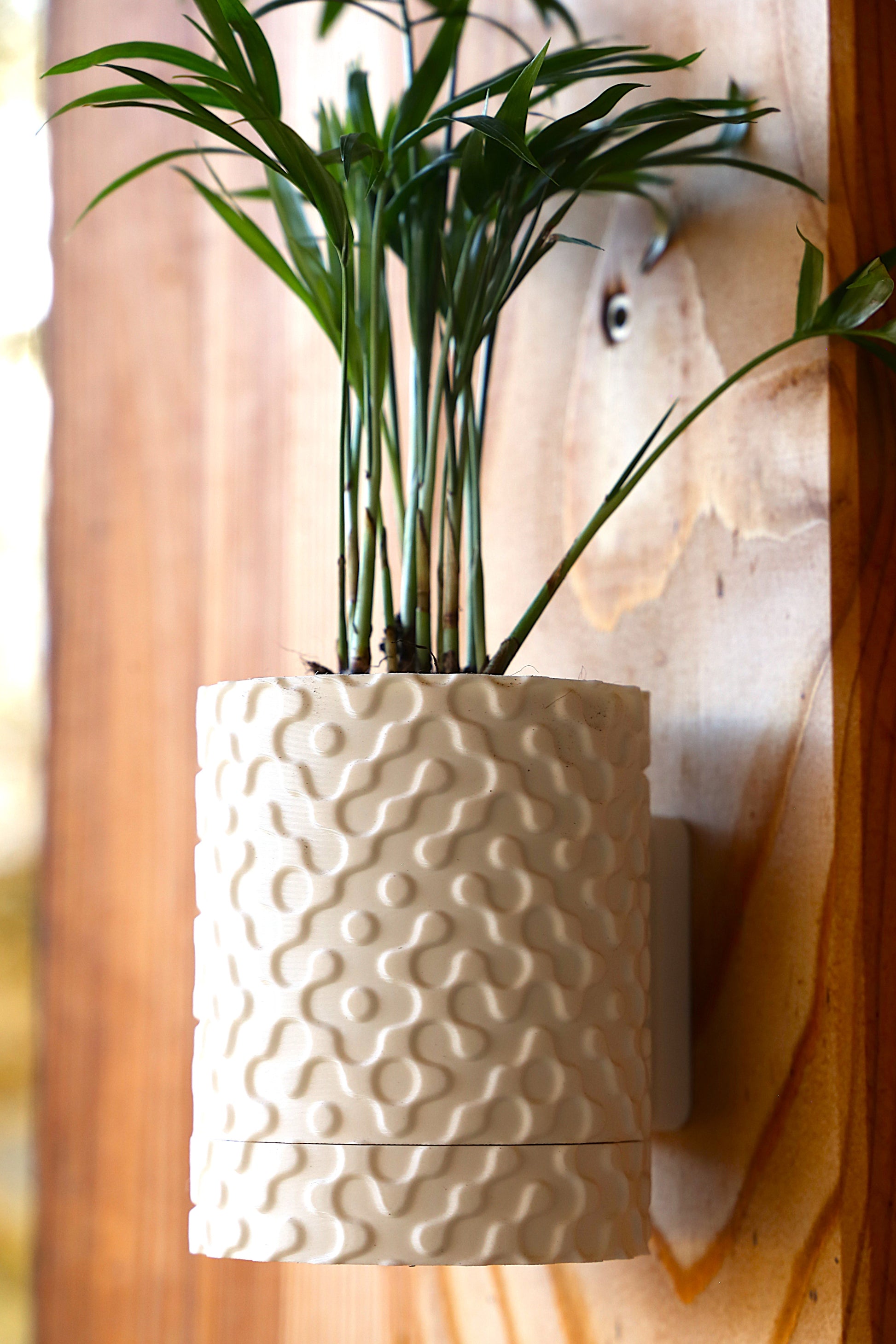 Vaso da muro sospeso in stile minimalista con piante verdi, realizzato in materiale eco-friendly.